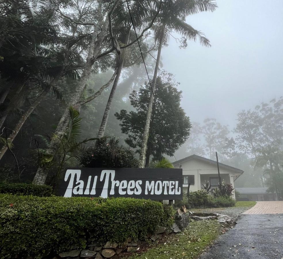 Tall Trees Motel Mountain Retreat 마운트 탬보린 외부 사진